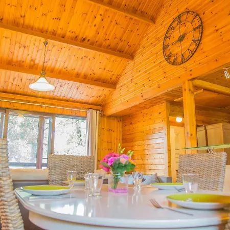 Amazing In With Fireplace *